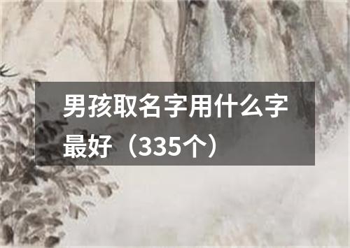 男孩取名字用什么字最好（335个）