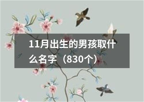 11月出生的男孩取什么名字（830个）