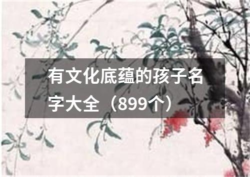 有文化底蕴的孩子名字大全（899个）