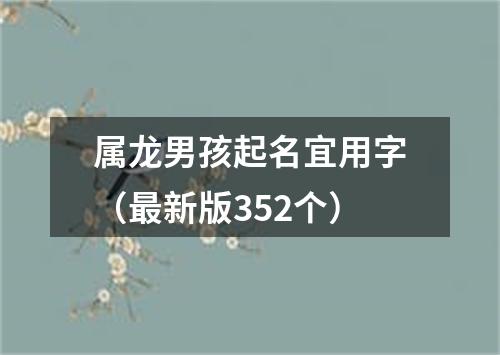 属龙男孩起名宜用字（最新版352个）