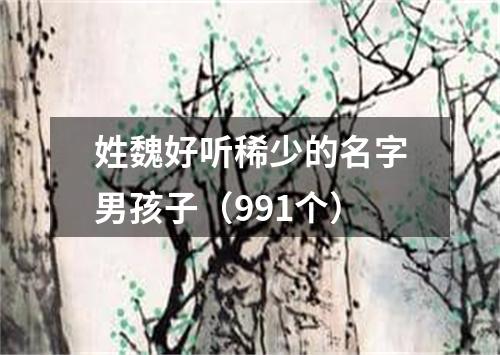 姓魏好听稀少的名字男孩子（991个）