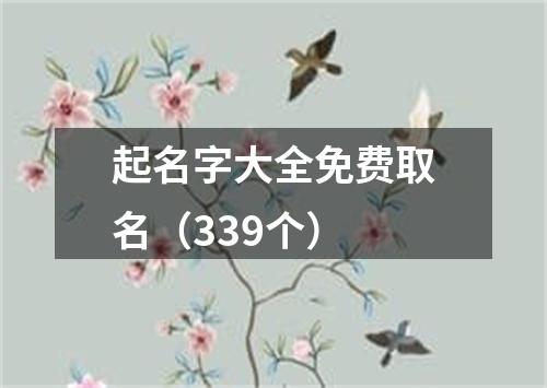 起名字大全免费取名（339个）