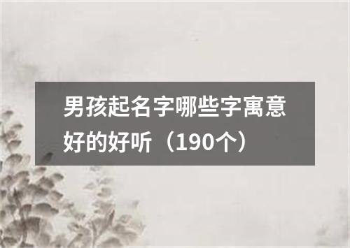 男孩起名字哪些字寓意好的好听（190个）