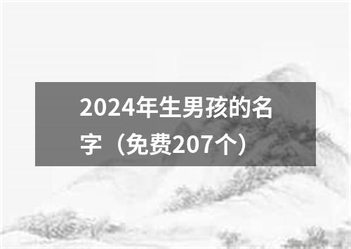 2024年生男孩的名字（免费207个）