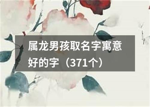 属龙男孩取名字寓意好的字（371个）