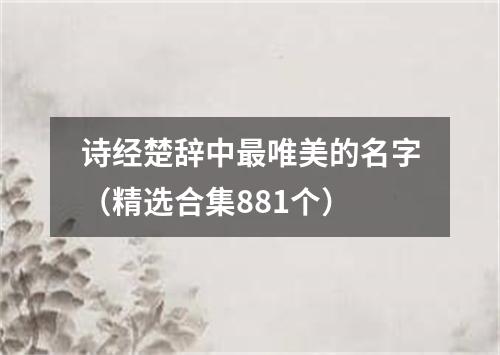 诗经楚辞中最唯美的名字（精选合集881个）