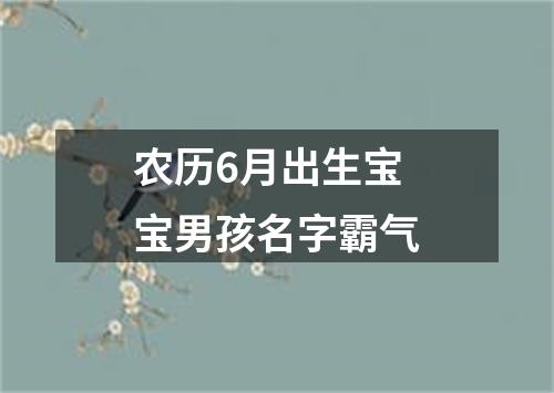 农历6月出生宝宝男孩名字霸气