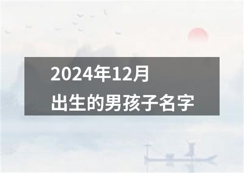 2024年12月出生的男孩子名字