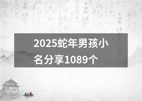 2025蛇年男孩小名分享1089个