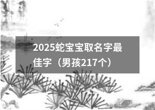 2025蛇宝宝取名字最佳字（男孩217个）