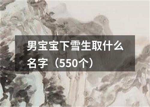 男宝宝下雪生取什么名字（550个）