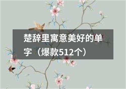 楚辞里寓意美好的单字（爆款512个）