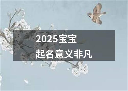 2025宝宝起名意义非凡