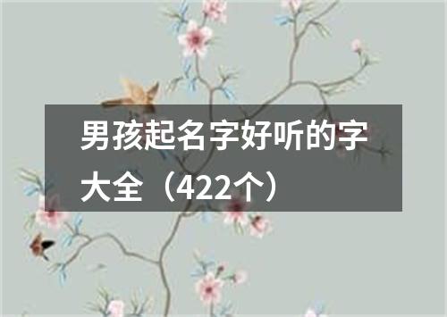 男孩起名字好听的字大全（422个）