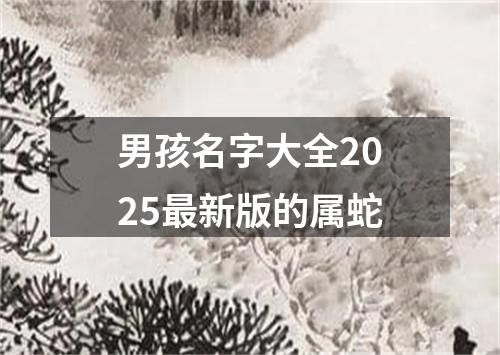 男孩名字大全2025最新版的属蛇