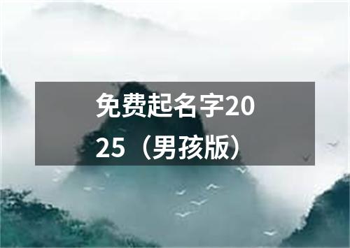 免费起名字2025（男孩版）