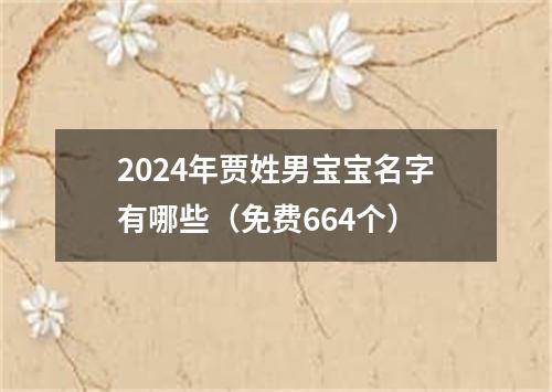 2024年贾姓男宝宝名字有哪些（免费664个）