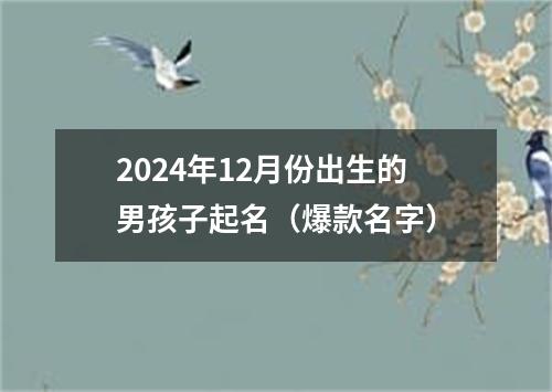 2024年12月份出生的男孩子起名（爆款名字）