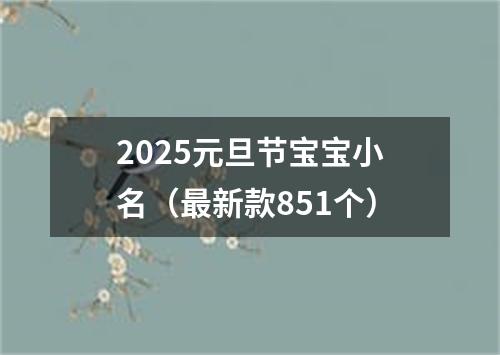 2025元旦节宝宝小名（最新款851个）