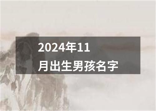 2024年11月出生男孩名字