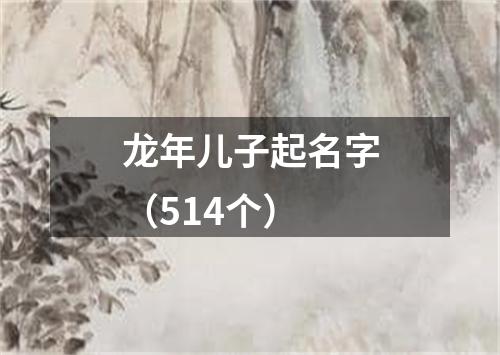 龙年儿子起名字（514个）