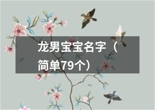 龙男宝宝名字（简单79个）