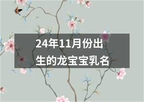 24年11月份出生的龙宝宝乳名