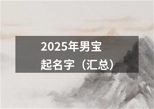 2025年男宝起名字（汇总）