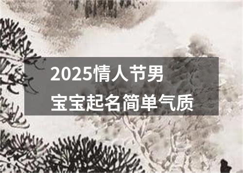 2025情人节男宝宝起名简单气质