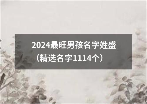 2024最旺男孩名字姓盛（精选名字1114个）