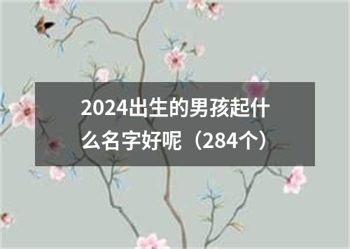 2024出生的男孩起什么名字好呢（284个）