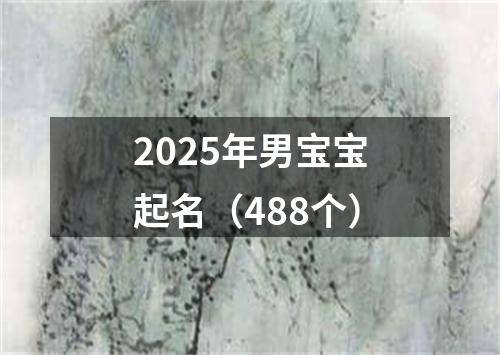 2025年男宝宝起名（488个）