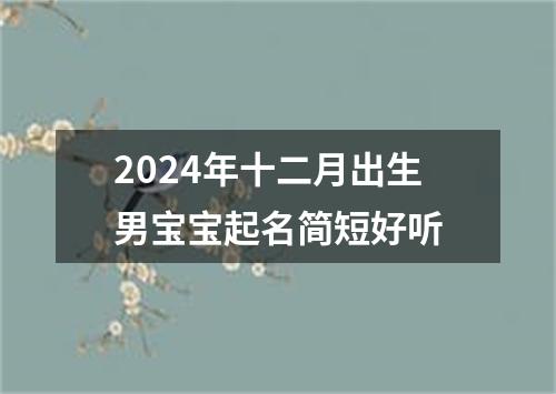 2024年十二月出生男宝宝起名简短好听