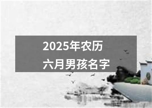 2025年农历六月男孩名字