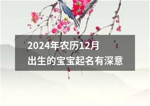 2024年农历12月出生的宝宝起名有深意