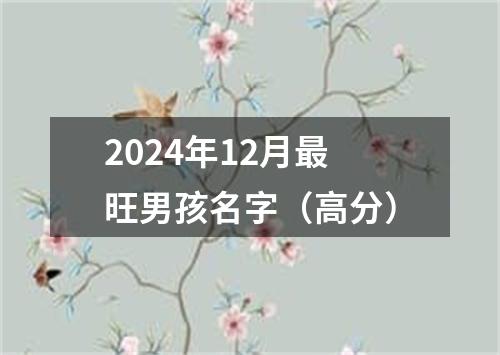 2024年12月最旺男孩名字（高分）