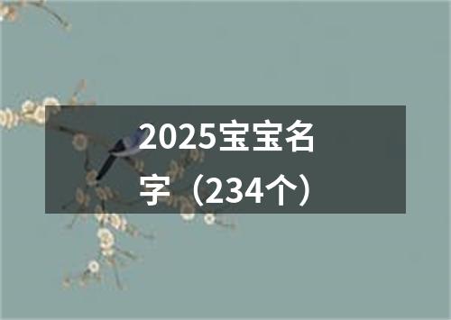 2025宝宝名字（234个）