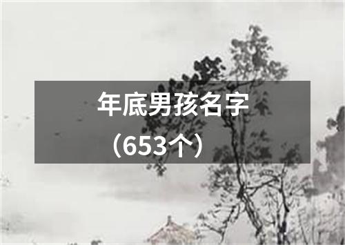 年底男孩名字（653个）