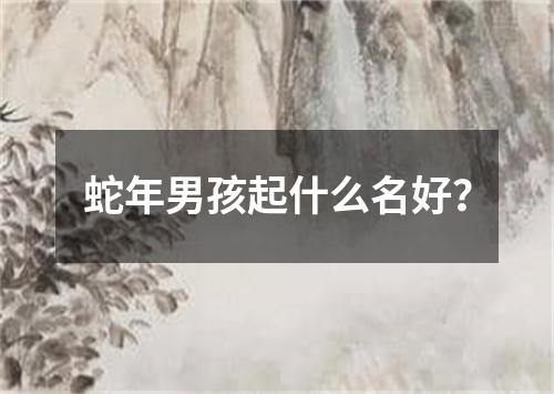 蛇年男孩起什么名好？