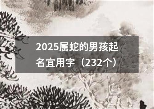 2025属蛇的男孩起名宜用字（232个）