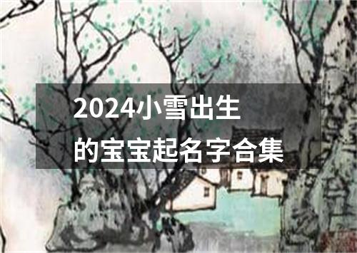 2024小雪出生的宝宝起名字合集