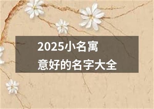 2025小名寓意好的名字大全