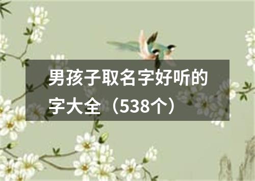 男孩子取名字好听的字大全（538个）