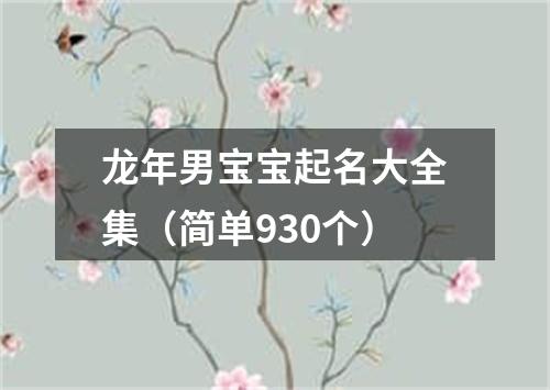 龙年男宝宝起名大全集（简单930个）