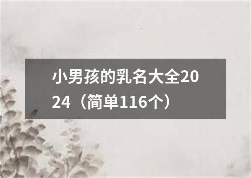 小男孩的乳名大全2024（简单116个）