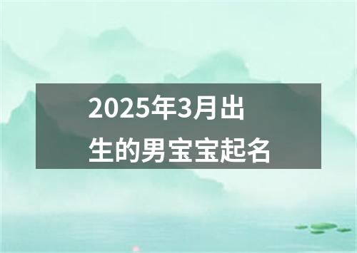 2025年3月出生的男宝宝起名