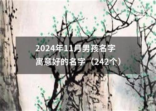 2024年11月男孩名字寓意好的名字（242个）