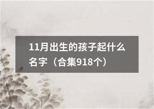 11月出生的孩子起什么名字（合集918个）