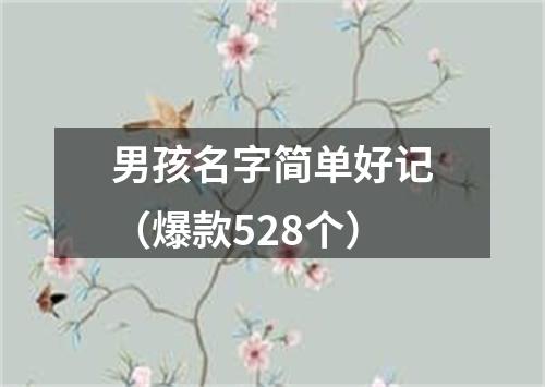 男孩名字简单好记（爆款528个）