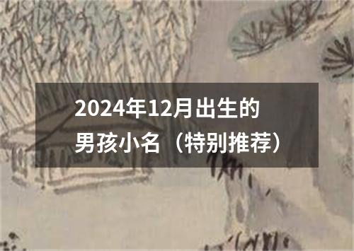 2024年12月出生的男孩小名（特别推荐）